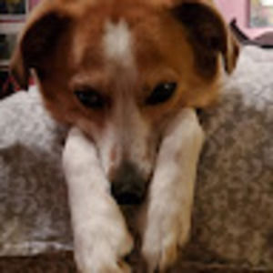 Meet your Posher, Meredith